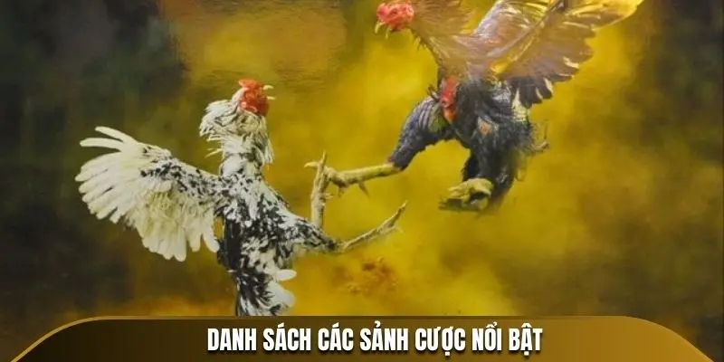 Danh sách các sảnh cược nổi bật 