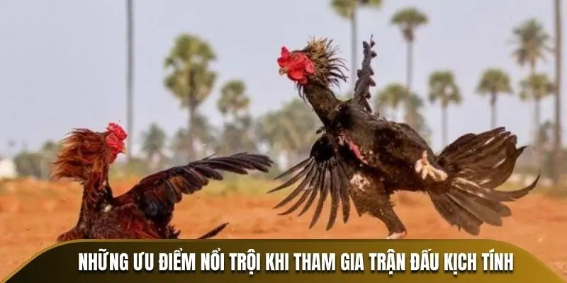 Những ưu điểm nổi trội khi tham gia trận đấu kịch tính