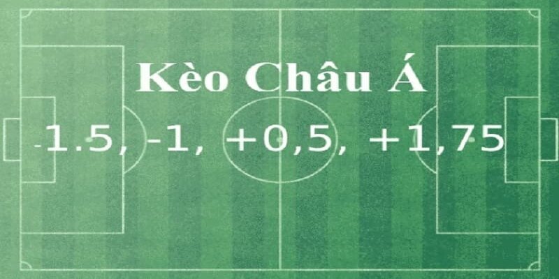 Có nhiều loại cược độc đáo tạo cơ hội trúng thưởng cực lớn