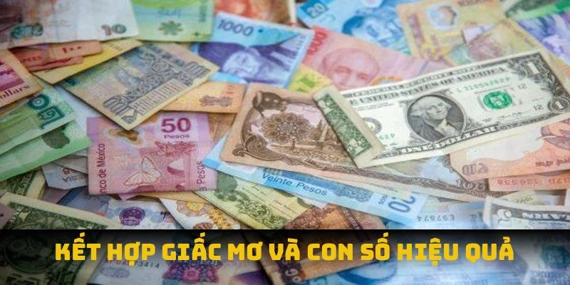 Kết hợp giấc mơ và con số hiệu quả